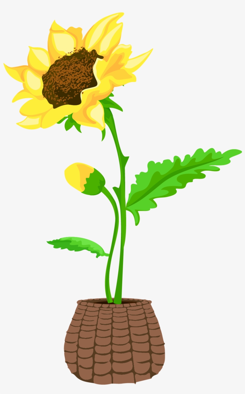 Bonsai Sunflower Flower Hand Drawn Wind Png And Vector - Sunflower, transparent png download