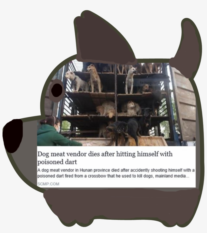 These Dogs Are Not Going To Be Dog Meat - Black Cat, transparent png download