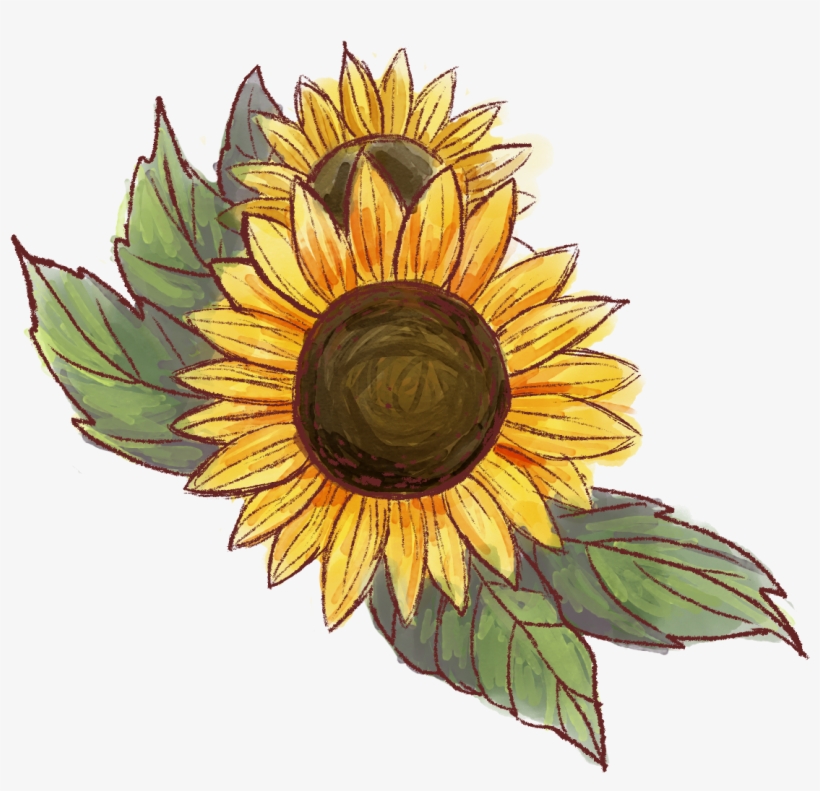 Rayn Will Be Available For Purchase Soon - Sunflower, transparent png download