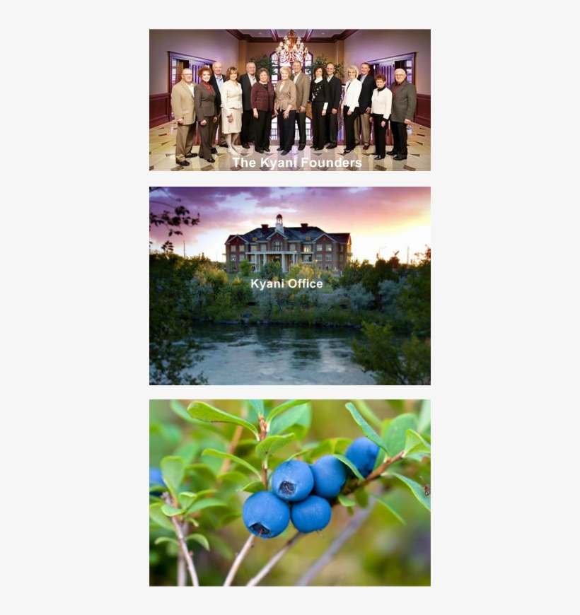 Kyäni Began With Three Founding Families Who Achieved - Kyani Headquarters, transparent png download