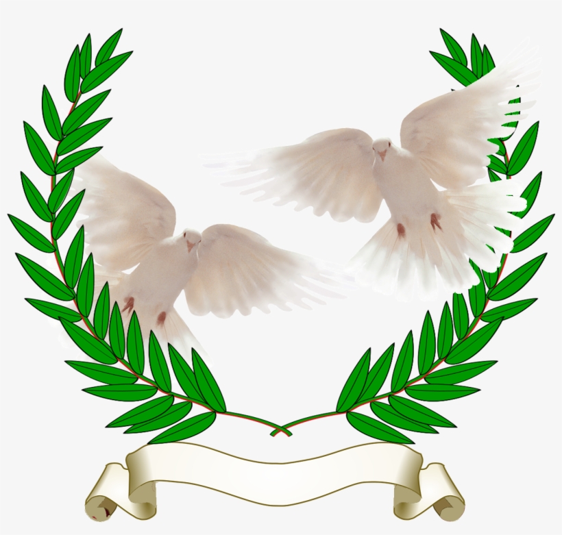 Olive Branch Doves - Armas Del Escudo De Guatemala, transparent png download