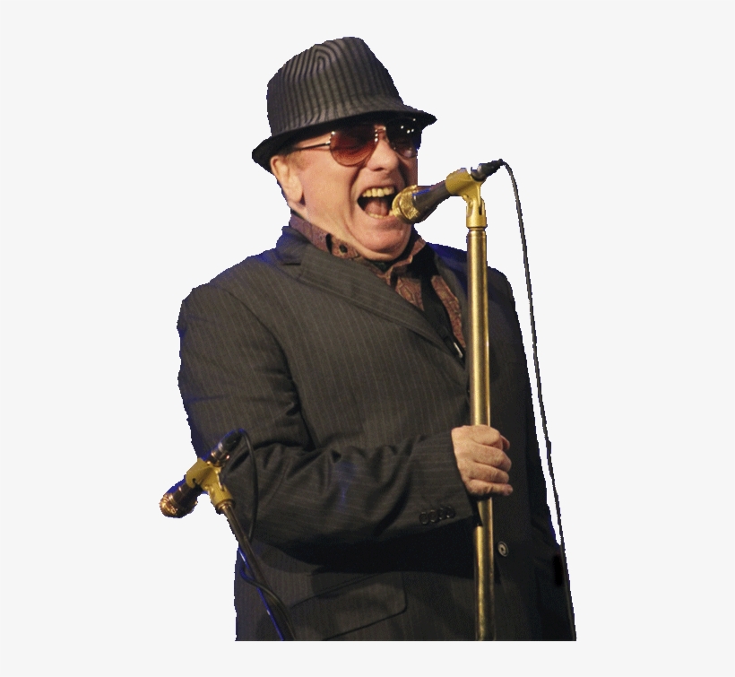 Morrison Performing In 2015 - Concert, transparent png download