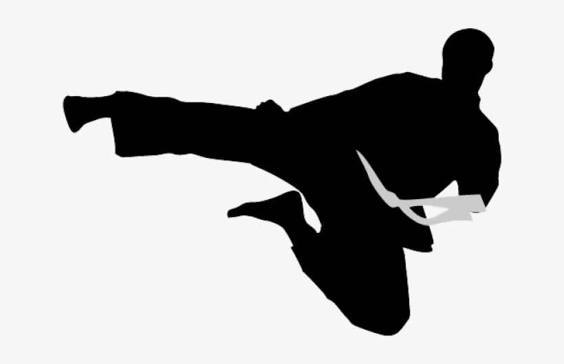 Karate Silhouette Png, transparent png download