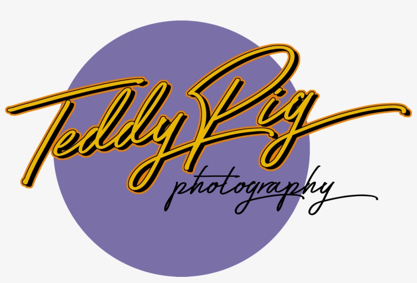 Teddy Pig Photography - Calligraphy, transparent png download