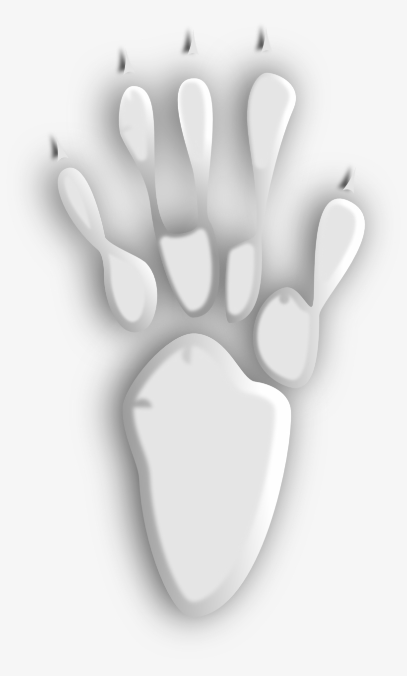 White Paw Print - Empreinte Patte Cochon D Inde, transparent png download