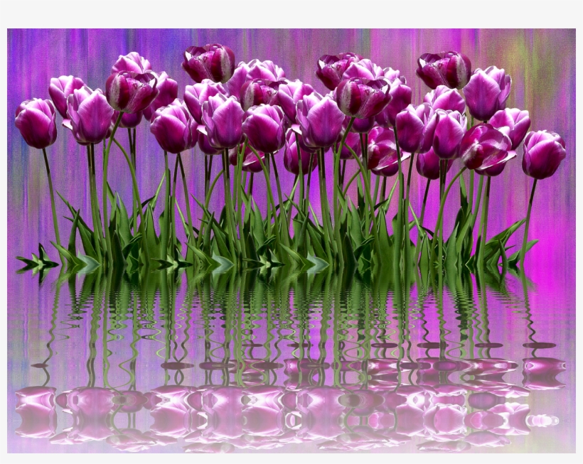 Pictures - Easter Flower, transparent png download