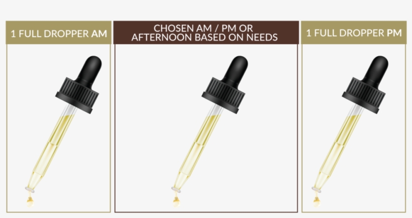169462 Dropper 011018-01 - Metalworking Hand Tool, transparent png download