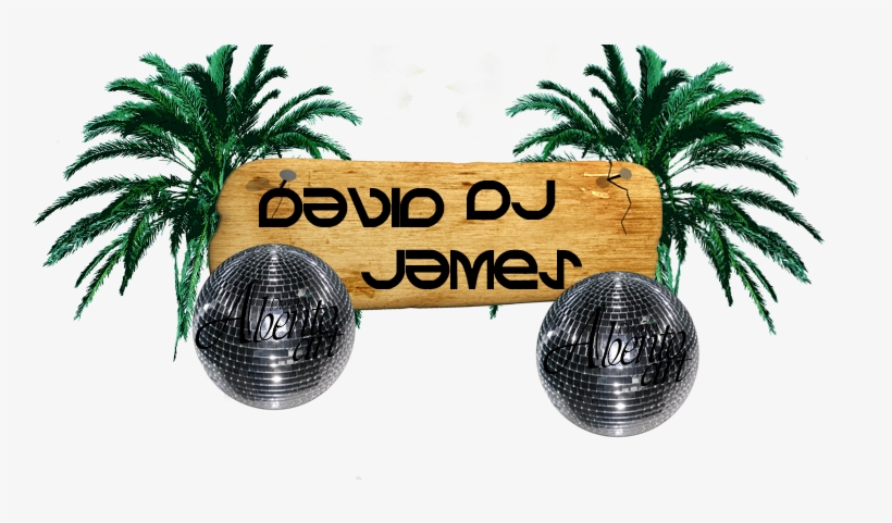 Wrecking Ball - Attalea Speciosa, transparent png download