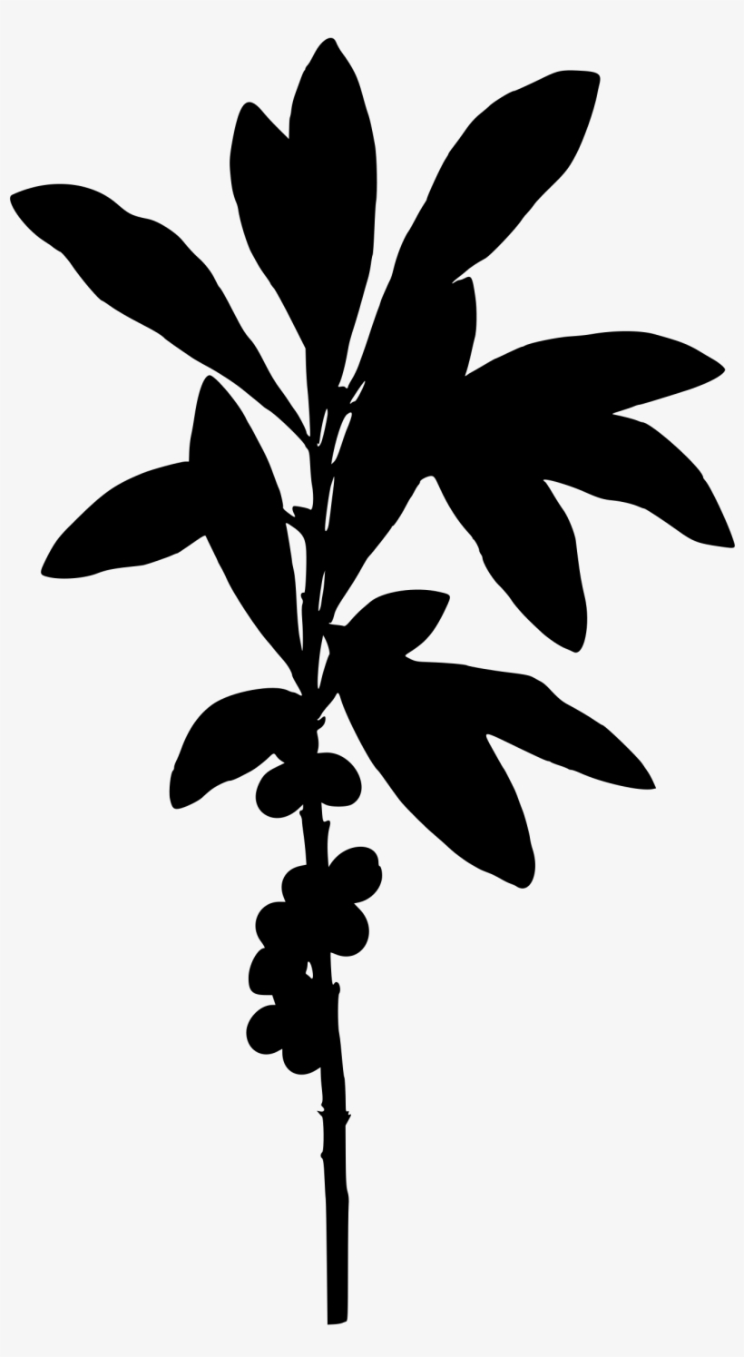 Big Image - Silhouette Daphné, transparent png download