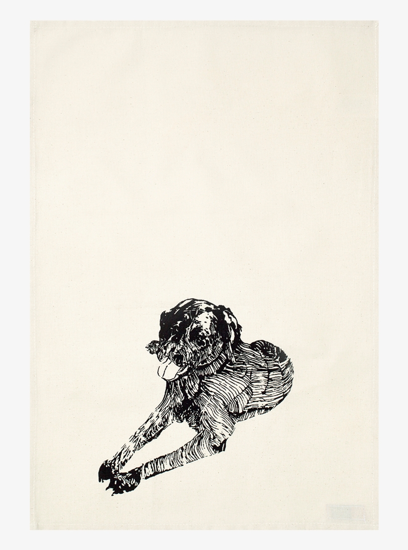 Sketch, transparent png download
