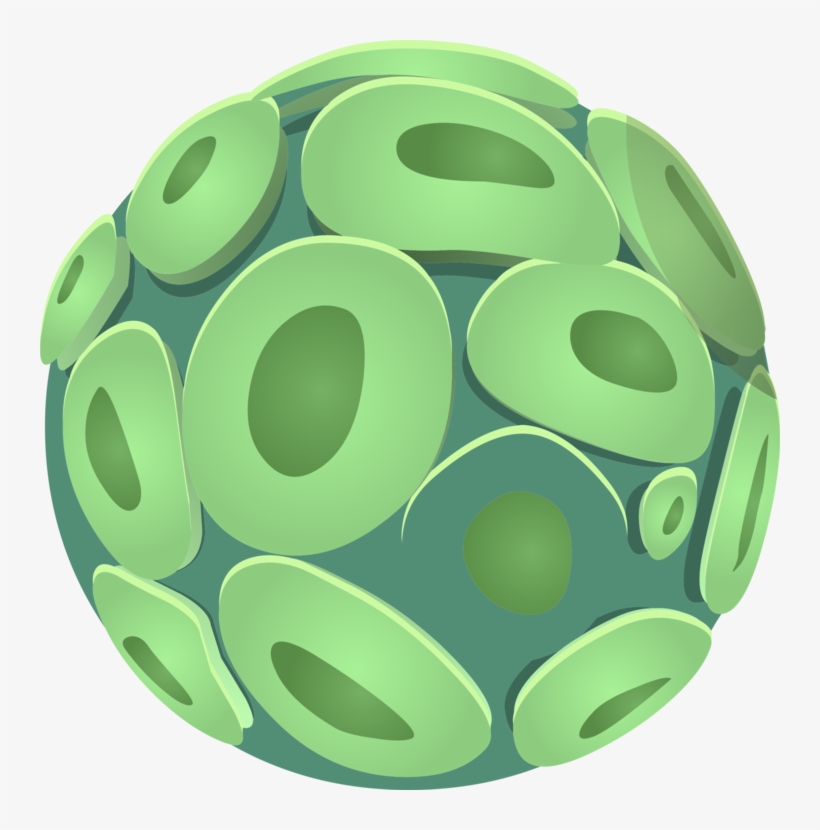 Plant Cell Dendritic Cell Dendrite Organism - Celula Vegetal Png, transparent png download