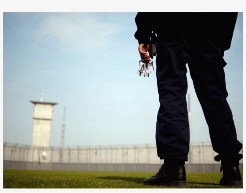 A Plant Cell Is Like A Prison - Agente Penitenciario Do Ceara, transparent png download