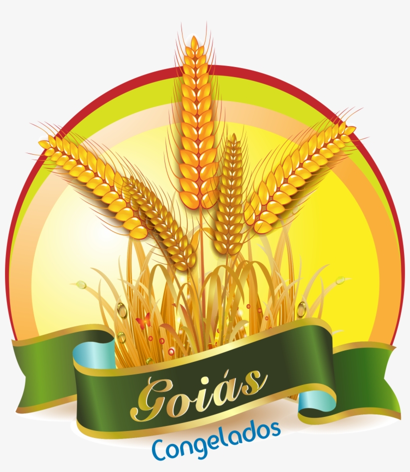 Brief From Client - Nombre De 5 Panaderias De Guatemala, transparent png download