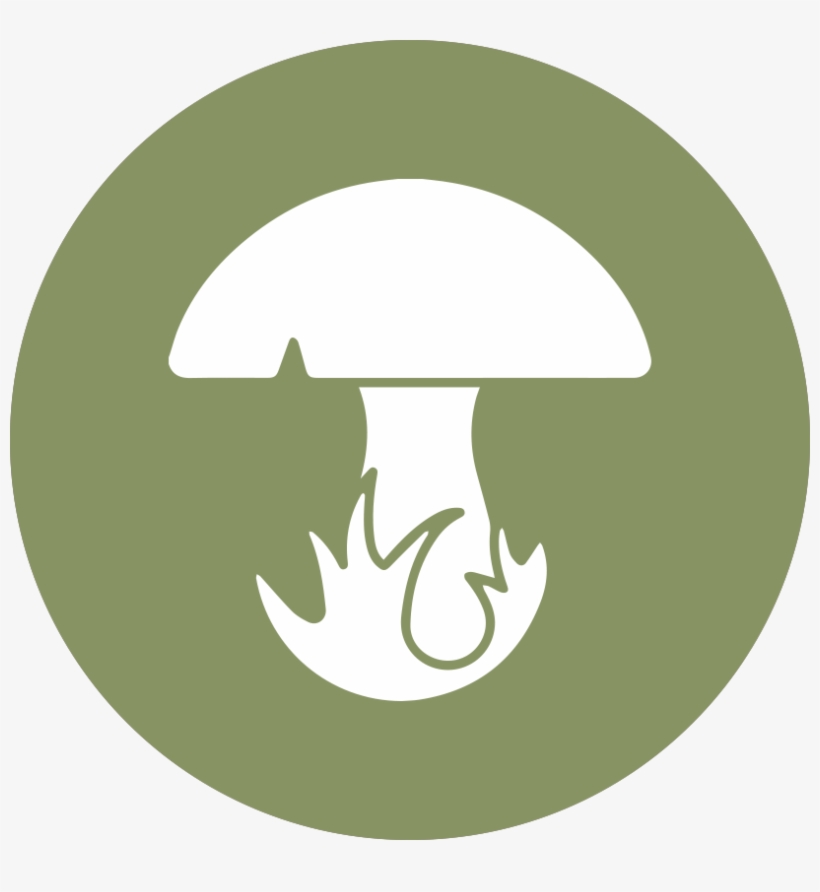 Mycology - Emblem, transparent png download