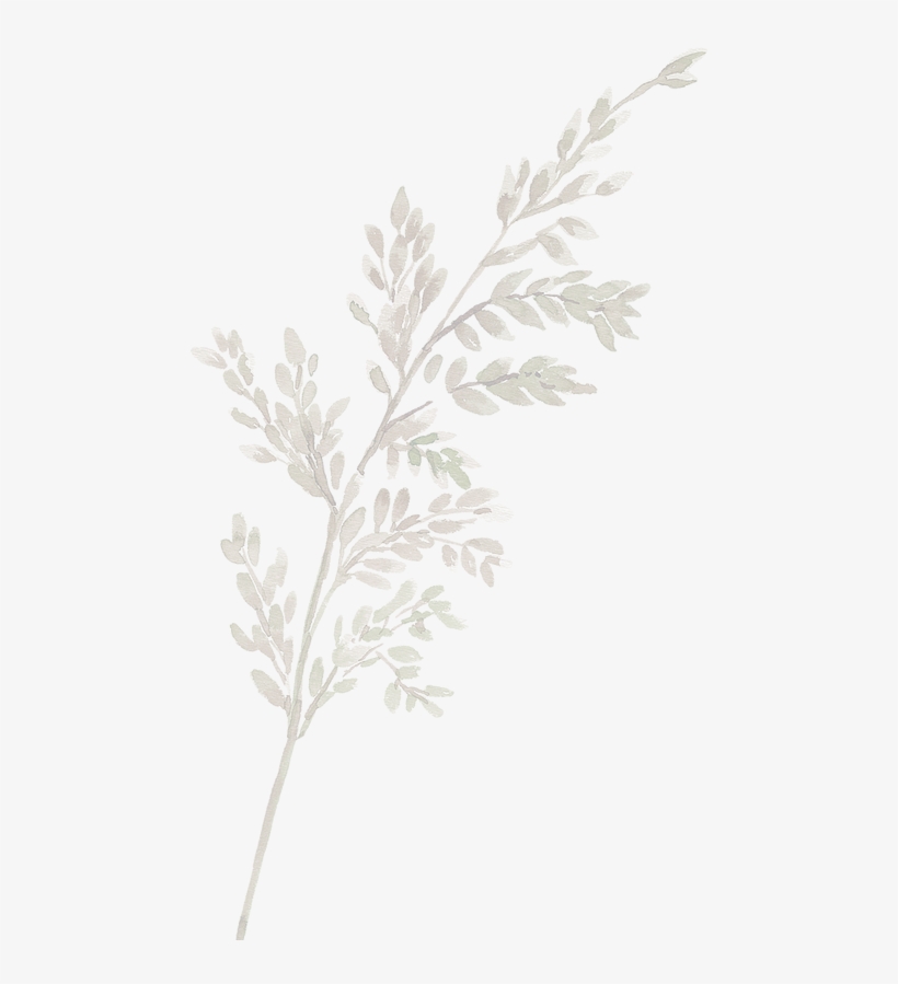 Fern Leaf - Twig, transparent png download