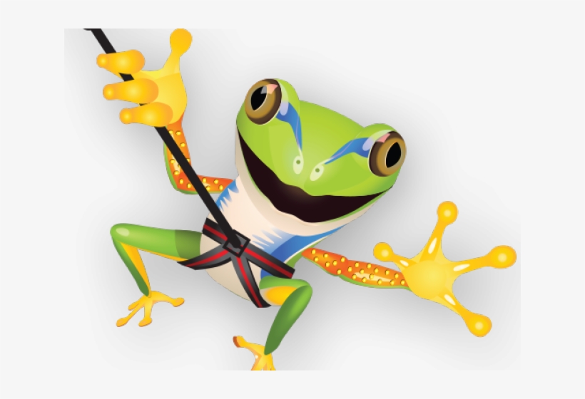Helmet Clipart Zipline - Poison Dart Frog, transparent png download