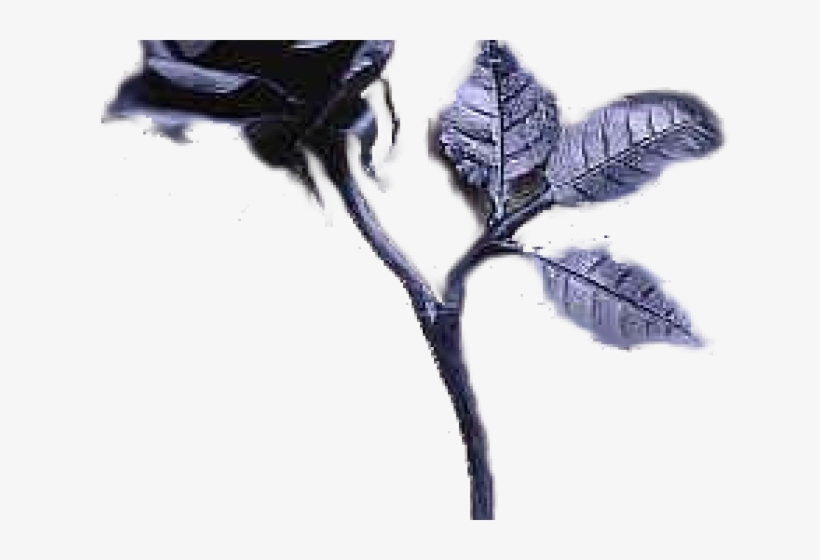 Gothic Clipart Gothic Rose - Black Rose, transparent png download