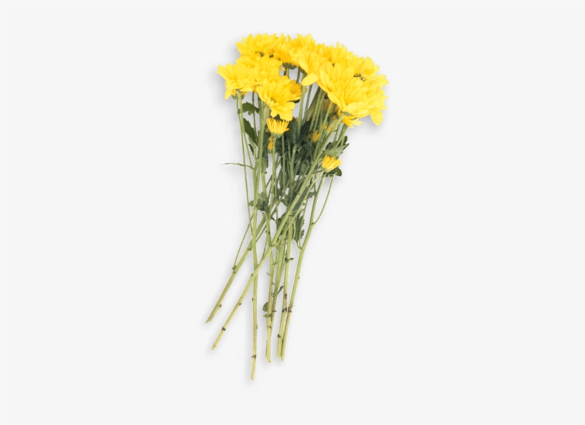 Bouquet, transparent png download