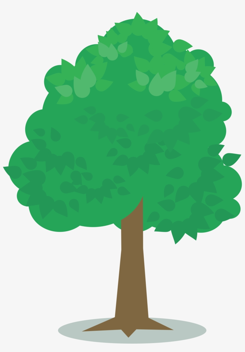 Big Image - Tree, transparent png download