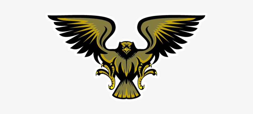 Hawk - Bald Eagle, transparent png download