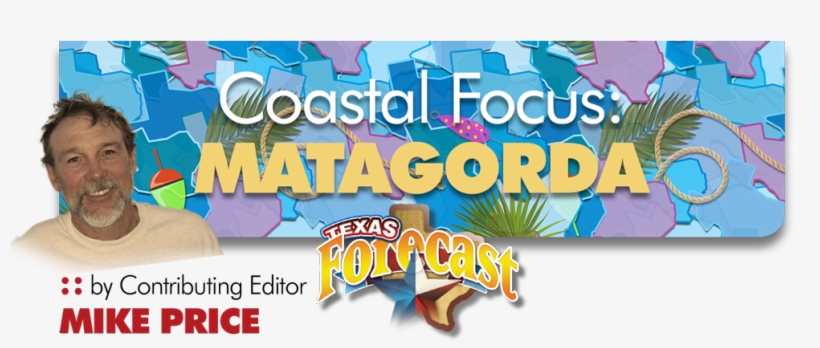 Avoid West Winds - Graphic Design, transparent png download