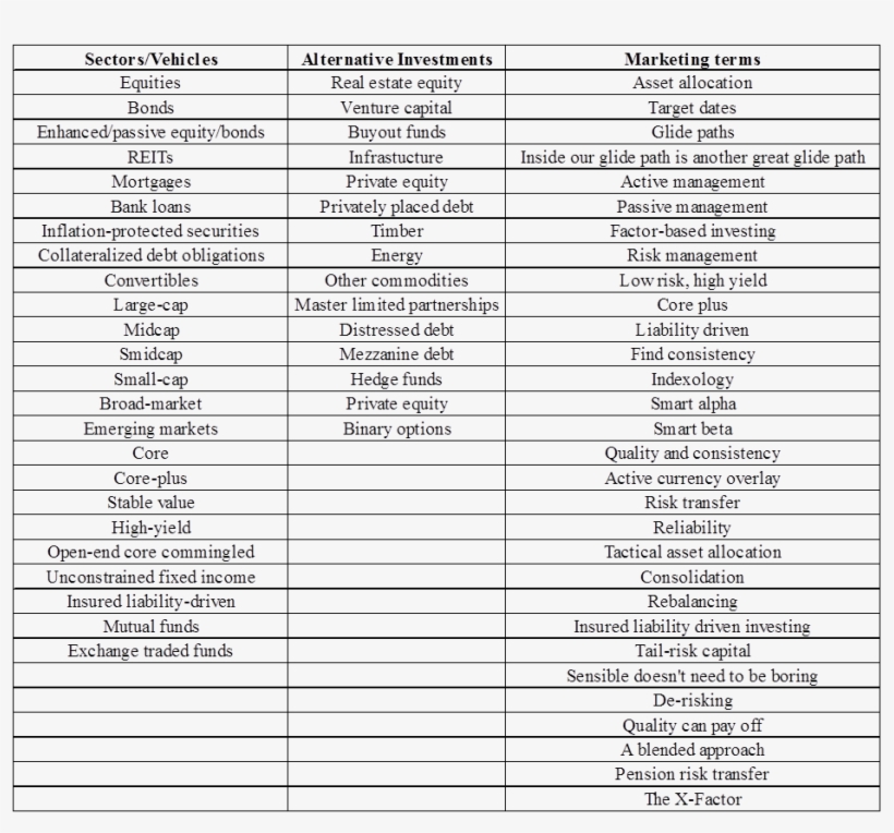 Investment Descriptors - 駒 大 苫小牧 アイス ホッケー, transparent png download