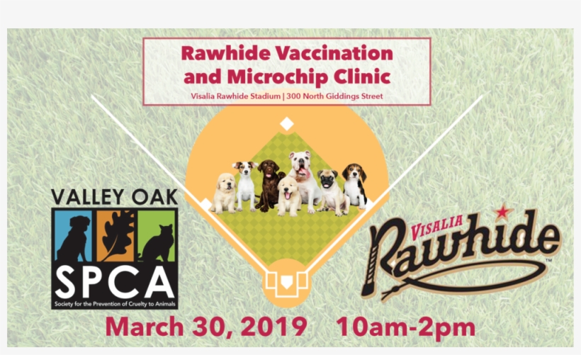 Rawhide For Web - Valley Oak Spca, transparent png download