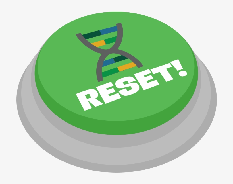 Evolution Reset Credit - Ultimate, transparent png download