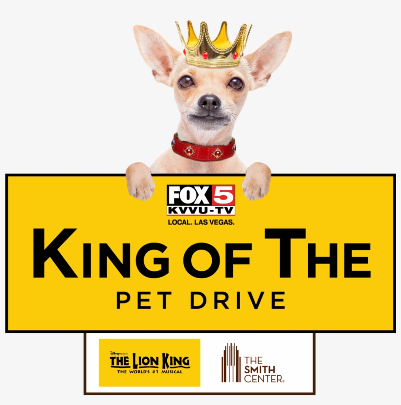 Fox5 King Of The Pet Drive Lion King Sweepstakes - Lion King, transparent png download