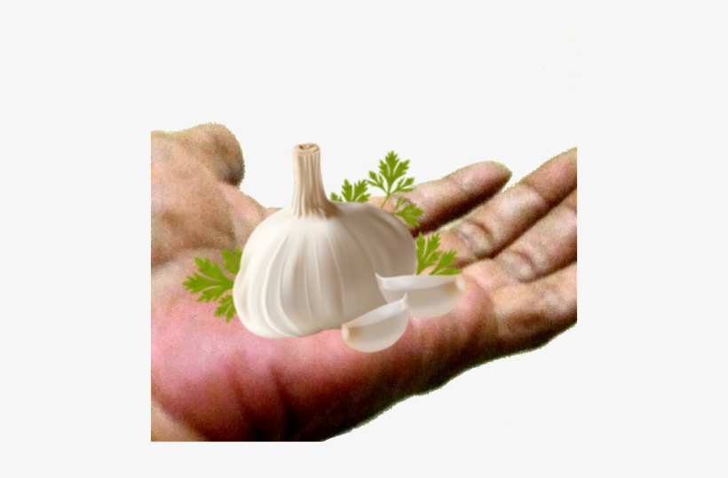 Ftestickers Sticker By Ani Chopurian - Sticker, transparent png download