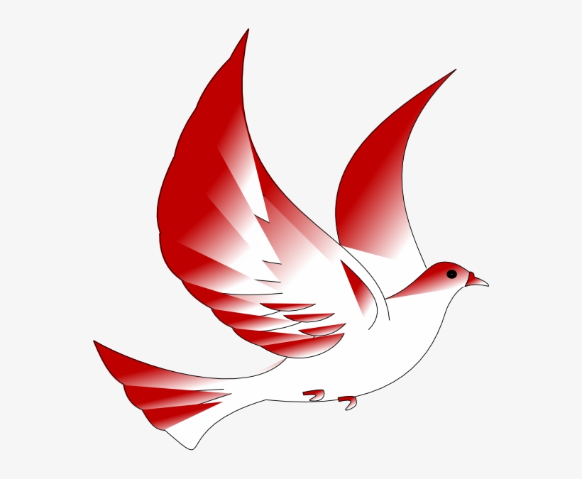 Indonesian Dove Png Clip Art, transparent png download