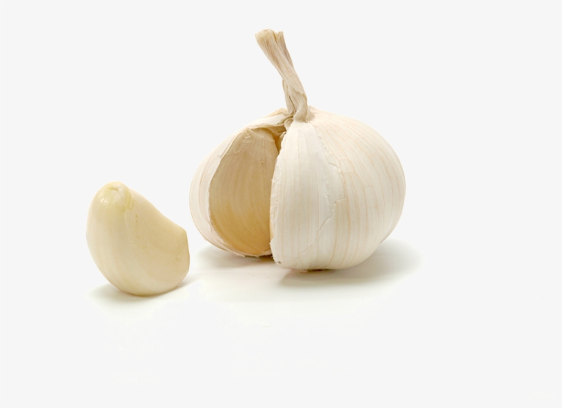 Garlic Bulb - Garlic, transparent png download