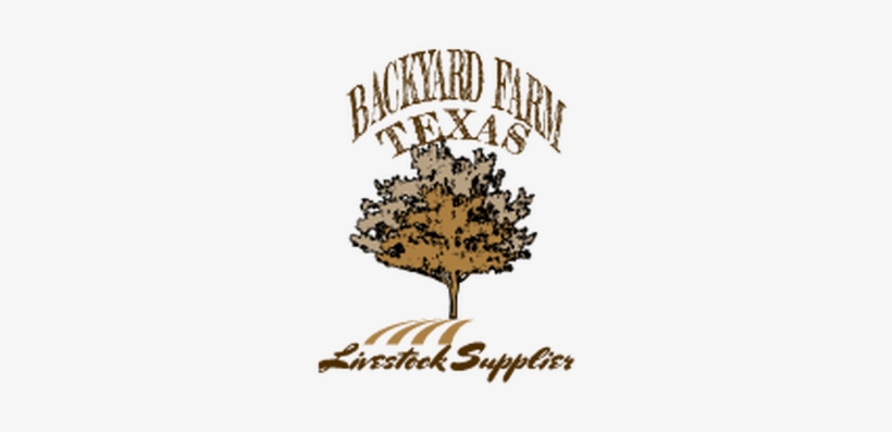 Backyard Farm Texas - Backyard, transparent png download