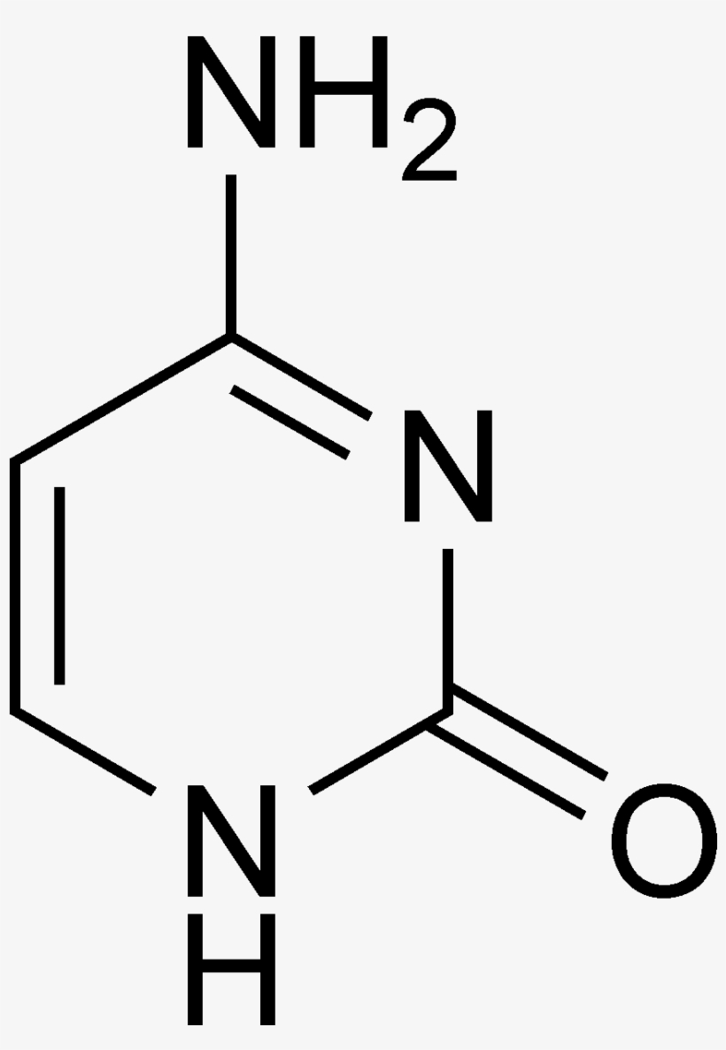 Cytosine Structure, transparent png download
