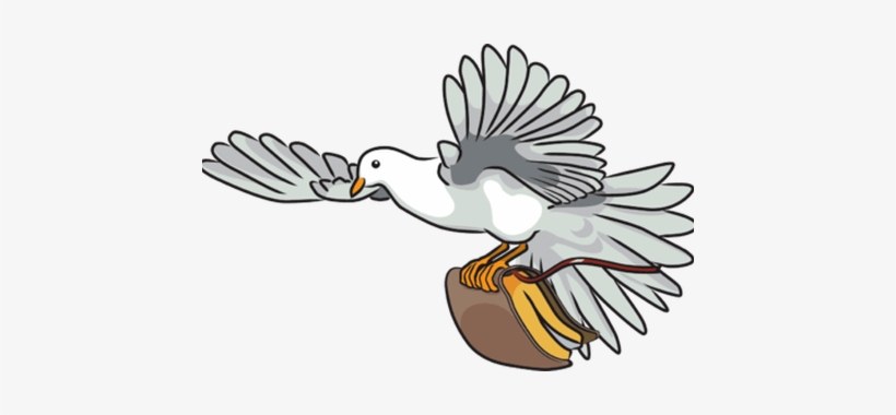 Full Hd Pictures Wallpaper - Bible Dove Clipart, transparent png download