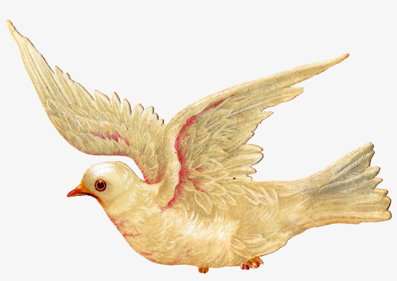 Religious Easter Clipart Interesting Inspiration - Clipart Dove Bird, transparent png download