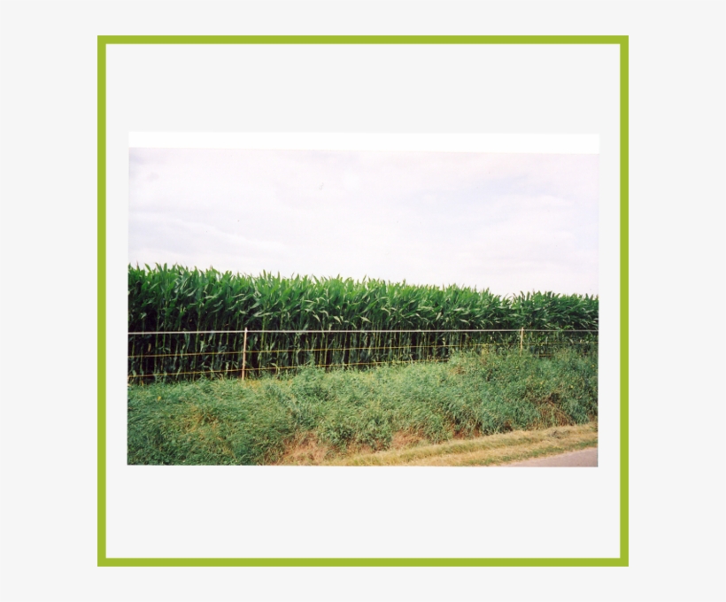 3-strand Fences - Split-rail Fence, transparent png download
