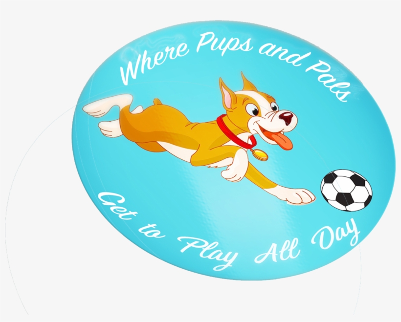 All Dogs Must Be Spayed/neutered By 6 Months Of Age - Child Care, transparent png download