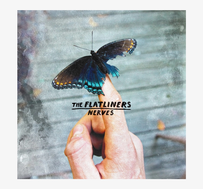 Nerves Ep - Hang My Head, transparent png download