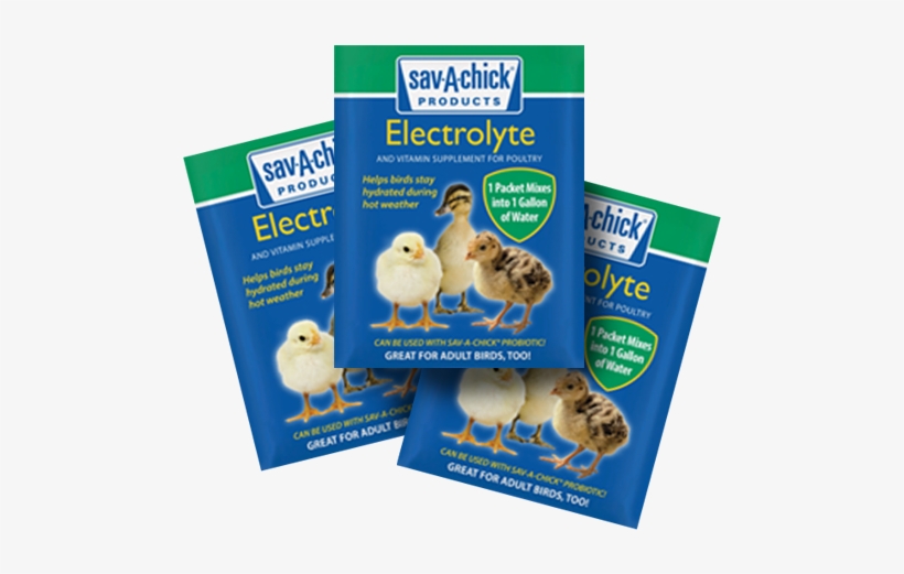 Sav A Chick Electrolyte, transparent png download