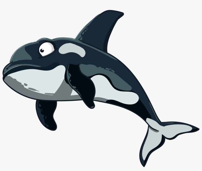 Free Download In Vector - Killer Whale, transparent png download