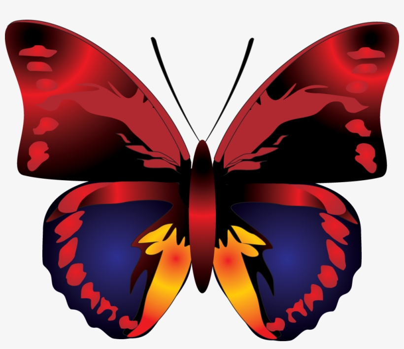 Butterfly Png Image - Butterfly Clipart Red, transparent png download