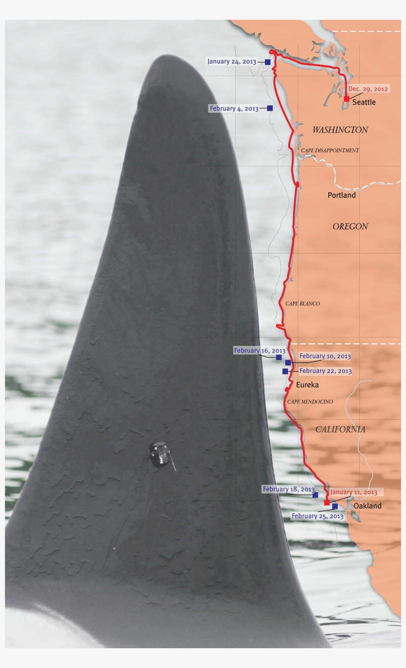 29, 2012, Researchers In Washington Attached A Satellite - Diagram, transparent png download