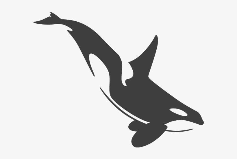 Broadcast Automation - Orca Tattoo Designs, transparent png download