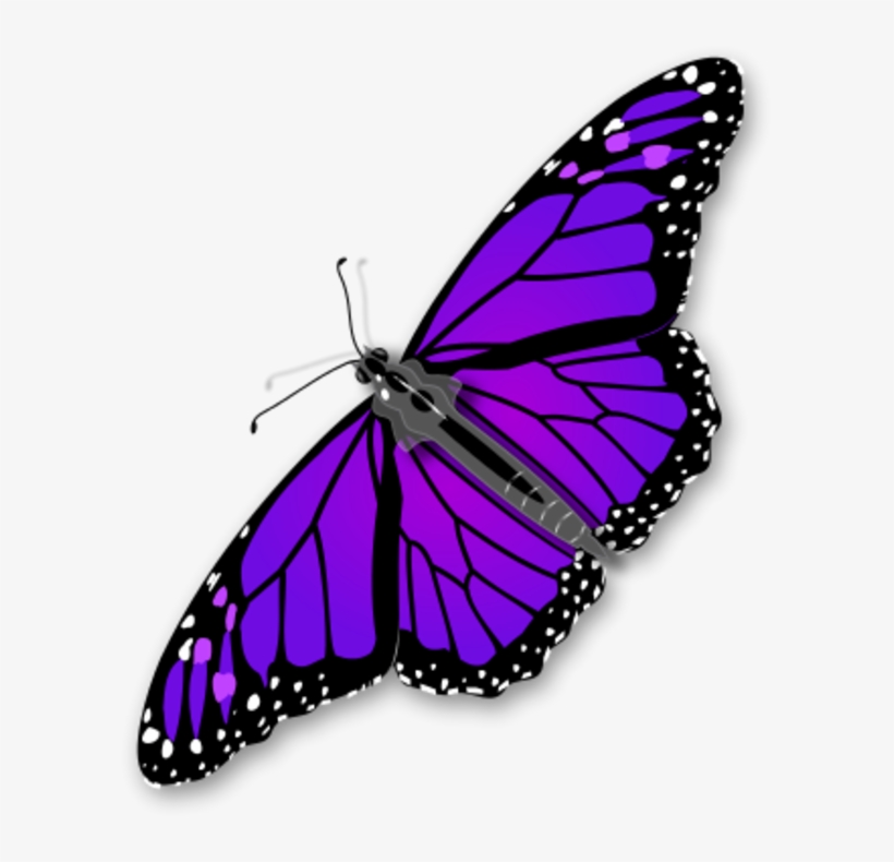 Purple Butterfly Transparent Png Png Mart - Monarch Butterfly Transparent Clipart, transparent png download