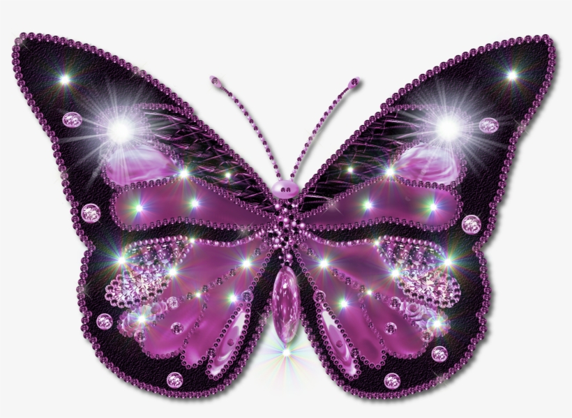 Butterfly Pictures Clipart - Butterfly Png Format, transparent png download