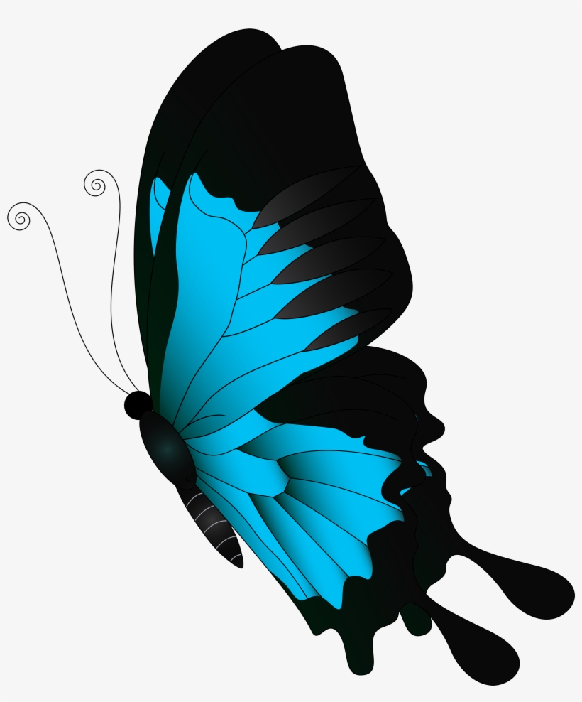 Clip Freeuse Blue Png Clip Art Gallery Yopriceville - Flying Butterfly Clipart Png, transparent png download
