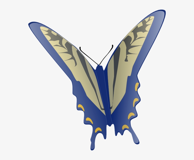 How To Set Use Blue And Gray Butterfly Clipart, transparent png download