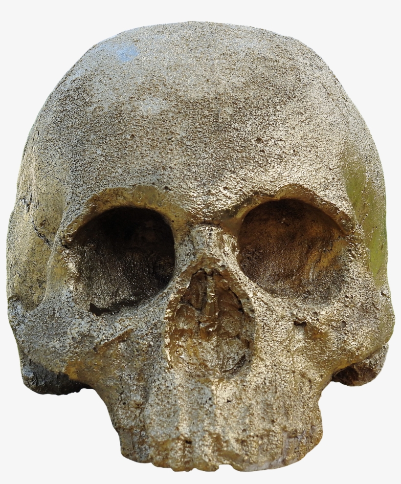 Skull And Crossbones Golden Skull Skull - Skull, transparent png download