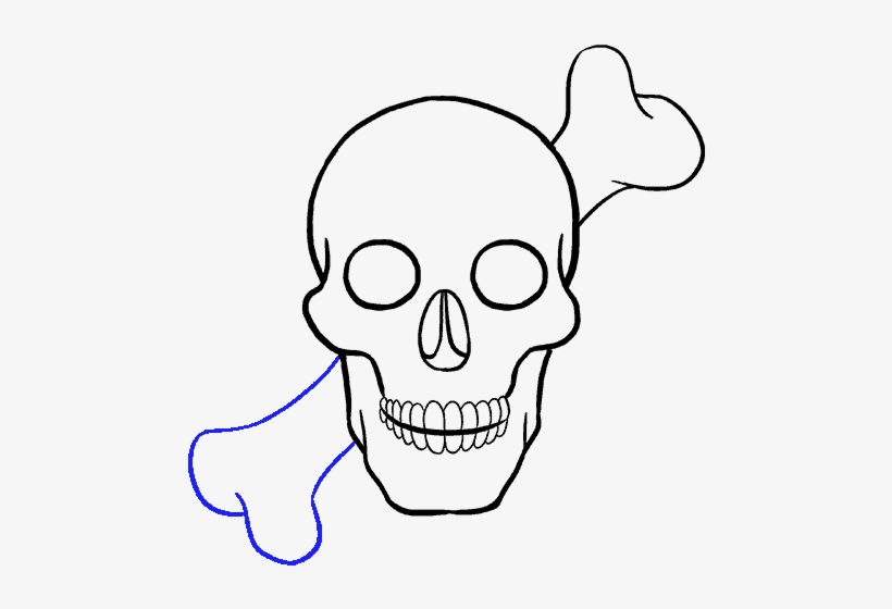 How To Draw Skull - Drawing, transparent png download